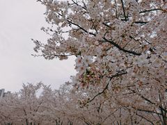 -龙美术馆(西岸馆)