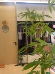 -归位瑜伽＆普拉提馆