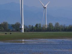 -野鸭湖国家湿地公园