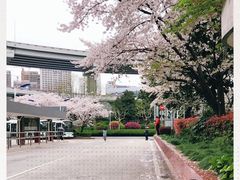 -上海南浦大桥长途旅游客运站
