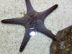 -多彩贵州城极地海洋世界