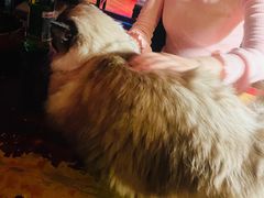 -南京天堂隔壁酒吧