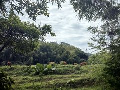 -林丰温泉度假山庄