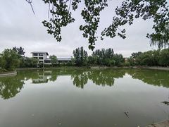 -思念果岭悦温泉