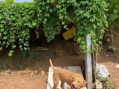 -红旗山庄(圭峰山店)
