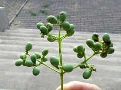 -解放人民公园