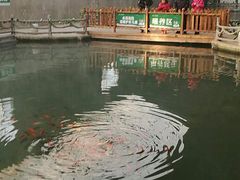 -兴芮温泉度假区