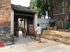 -上甘棠村