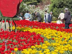 -石家庄市植物园