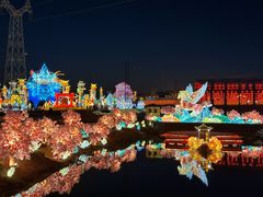 -淄博花灯齐彩城