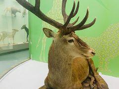 -国家自然博物馆