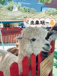 -萌宠亲子动物乐园(槐房万达店)