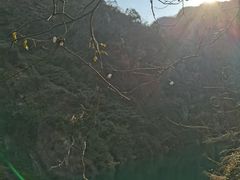 -东林大峡谷