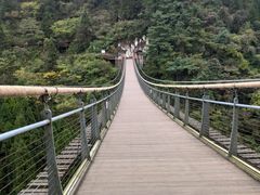 -娄山关景区