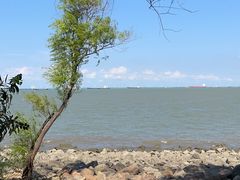 -上海吴淞炮台湾国家湿地公园