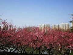 -白塘生态植物园