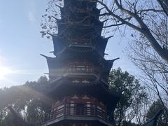 -上海佘山国家森林公园西佘山园