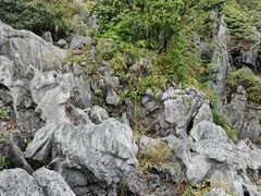 -千岛湖石林