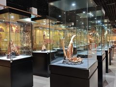 -香市公园-中国沉香文化博物馆