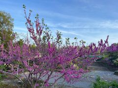 -武汉园博园(武汉自然博物馆)