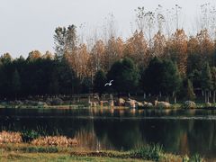 -滨湖塘西河公园