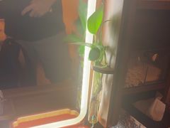 -沐森 •疗愈头疗馆(打浦桥店)