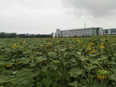 -南京信息职业技术学院