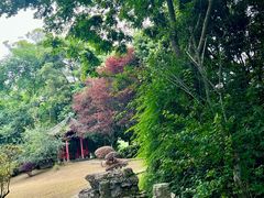 -青城山