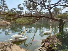 -罗红摄影艺术馆