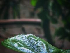 -维乐口腔医院(星海湾分院)