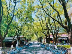 -上海交通大学(闵行校区)