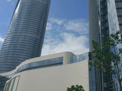 -演武大桥观景平台