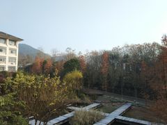 -浙江农林大学(东湖校区)