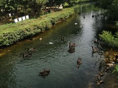 -长白岛森林公园