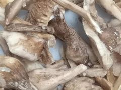 -木王宴语·野生鲜菌火锅(玉河店)