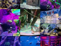 -沈阳海洋探索中心