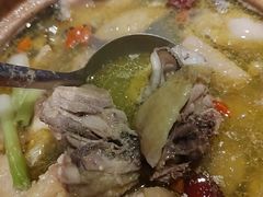 湛江肥蚝鸡煲-烧蠔帮·湛江生蚝(南桥店)