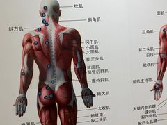-通透堂中医·精准推拿(旗舰店)