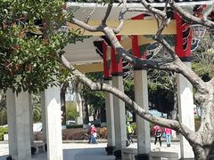 android_upload_pic-集美学村