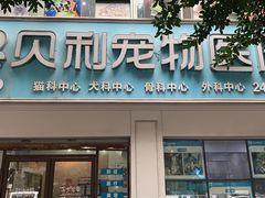 -贝利宠物医院·骨科·眼科·肿瘤转诊中心(南坪诊疗中心)