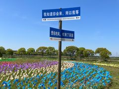 -上海都市菜园