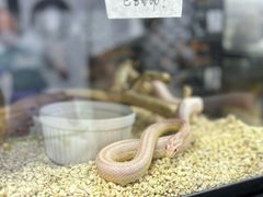 -三旗百汇商品城