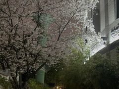 -香然会·园林雅宴(陆家嘴店)