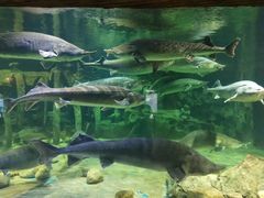 -华夏文旅海洋公园