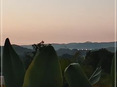 -南宁良凤江国家森林公园