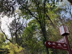 -岳麓山风景名胜区