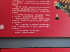 -美蛙四季(亦庄店)