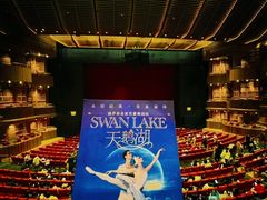 -交通银行前滩31演艺中心