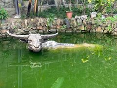 -燊海井