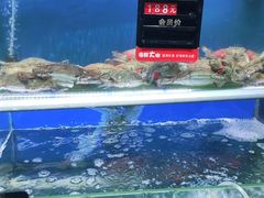 -船梆煮•蒸汽海鲜·炉火烤肉(五四广场店)